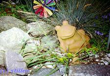 Der Frosch im Garten ... (Foto: Stiller)
